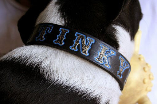 Custom Leather Dog Collar - Small