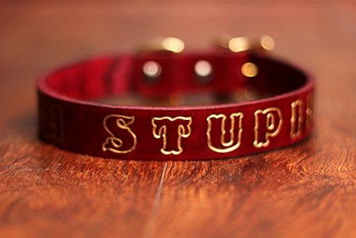Custom Leather Dog Collar - Medium