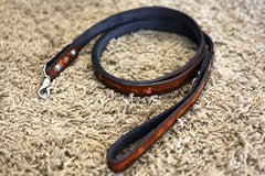 1 Inch Custom Leather Dog Leash